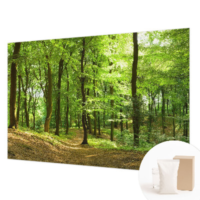 Motivtapete Natürlicher Weg