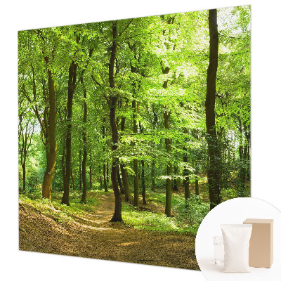 Motivtapete Natürlicher Weg