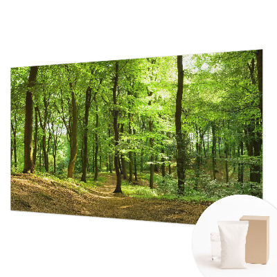 Motivtapete Natürlicher Weg