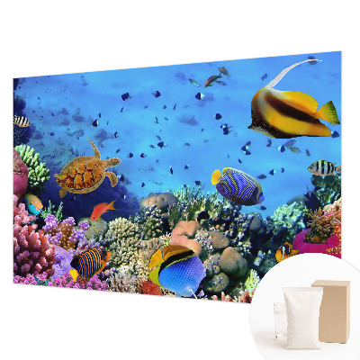 Bildtapete Korallenriff