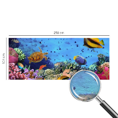 Bildtapete Korallenriff