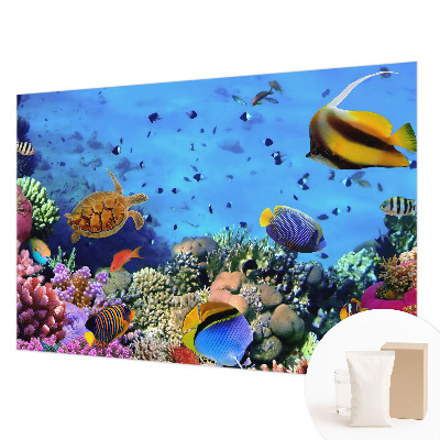 Bildtapete Korallenriff