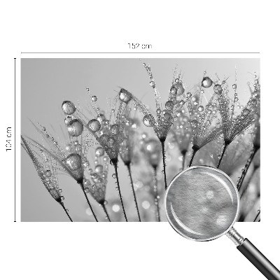 Fototapete fürs Schlafzimmer Feuchte Delikatesse