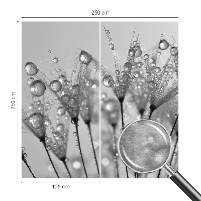 Fototapete fürs Schlafzimmer Feuchte Delikatesse