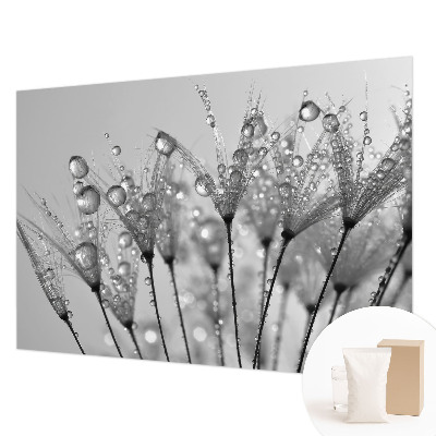 Fototapete fürs Schlafzimmer Feuchte Delikatesse