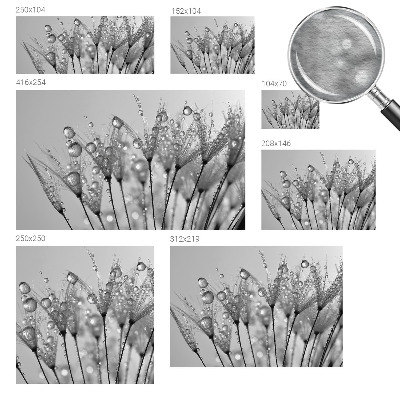 Fototapete fürs Schlafzimmer Feuchte Delikatesse