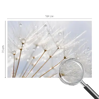 Dekorative Wand-Fototapete mit rosafarbenem Löwenzahnmotiv