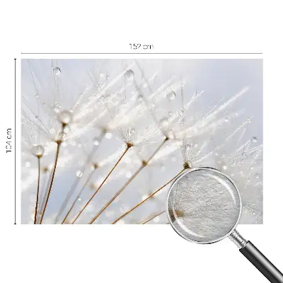 Dekorative Wand-Fototapete mit rosafarbenem Löwenzahnmotiv