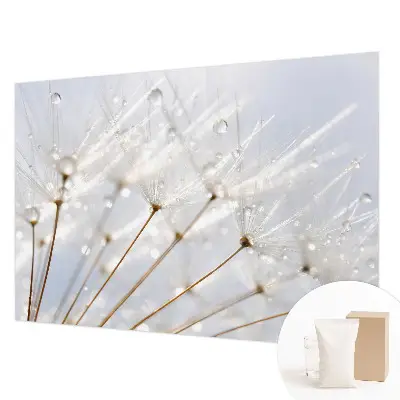Dekorative Wand-Fototapete mit rosafarbenem Löwenzahnmotiv