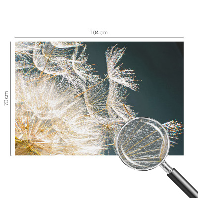 Fototapete fürs Schlafzimmer Löwenzahn der Leichtigkeit