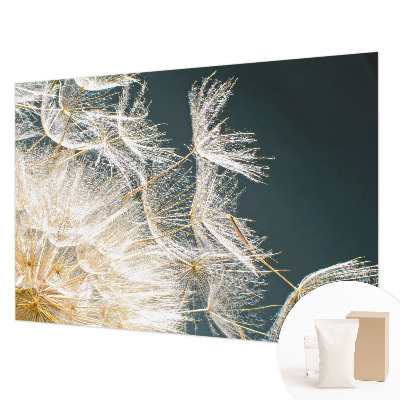 Fototapete fürs Schlafzimmer Löwenzahn der Leichtigkeit