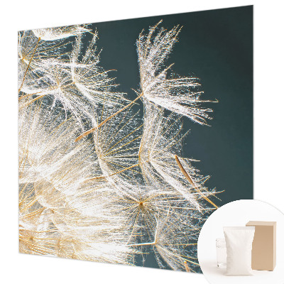 Fototapete fürs Schlafzimmer Löwenzahn der Leichtigkeit