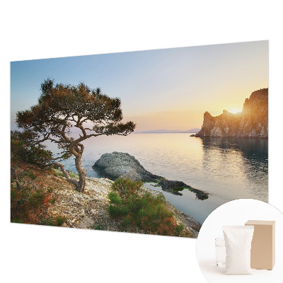 Vlies-Fototapete fürs Wohnzimmer mit friedlicher Naturszenerie