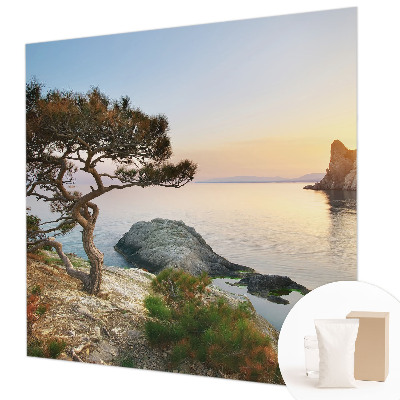 Vlies-Fototapete fürs Wohnzimmer mit friedlicher Naturszenerie