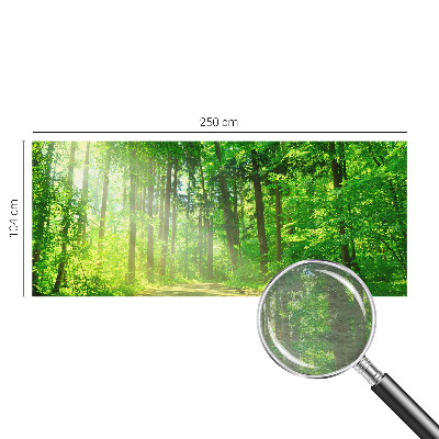 Vlies-Fototapete fürs Kinderzimmer Waldweg