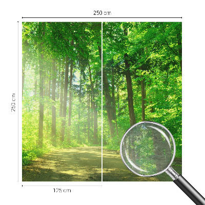 Vlies-Fototapete fürs Kinderzimmer mit Motiv eines Waldwegs
