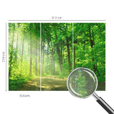 Vlies-Fototapete fürs Kinderzimmer Waldweg