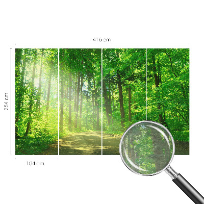 Vlies-Fototapete fürs Kinderzimmer mit Motiv eines Waldwegs