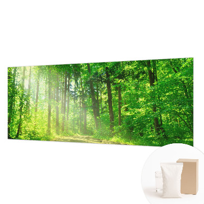 Vlies-Fototapete fürs Kinderzimmer Waldweg