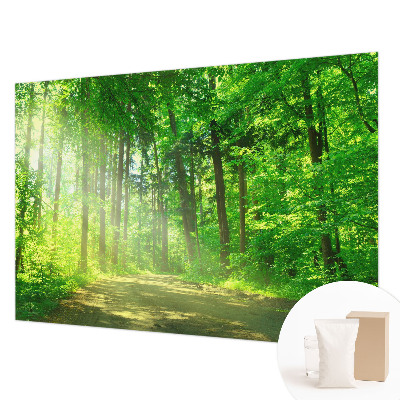 Vlies-Fototapete fürs Kinderzimmer Waldweg