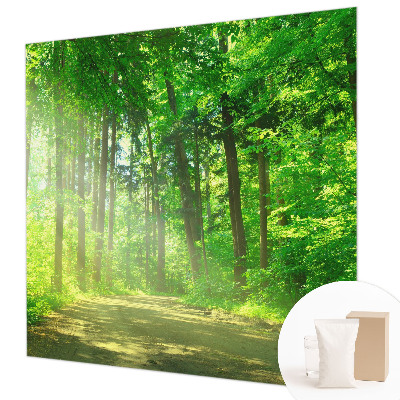 Vlies-Fototapete fürs Kinderzimmer Waldweg