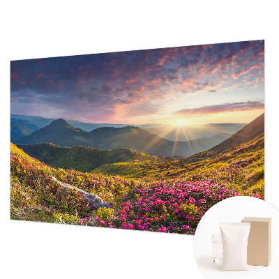 Vliestapete fürs Wohnzimmer mit Bergpanorama