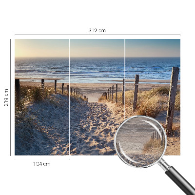 Moderne Vlies-Fototapete mit Motiv eines Strandwegs