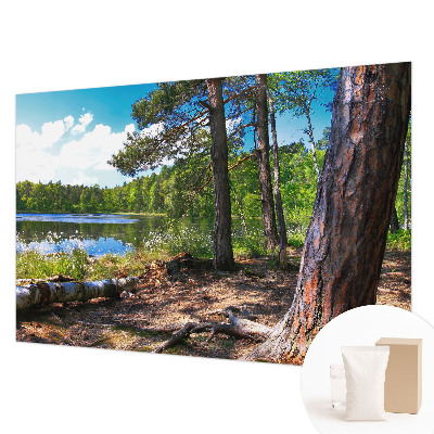Bildtapete mit Waldlandschaft