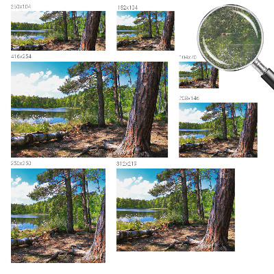 Bildtapete mit Waldlandschaft