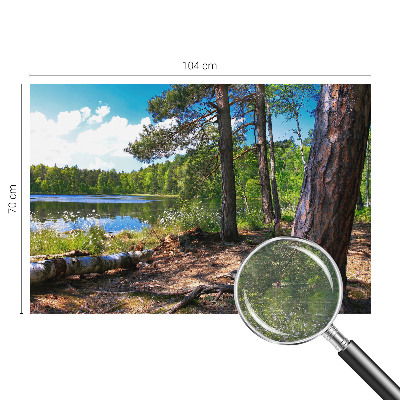 Bildtapete mit Waldlandschaft