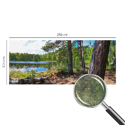 Bildtapete mit Waldlandschaft
