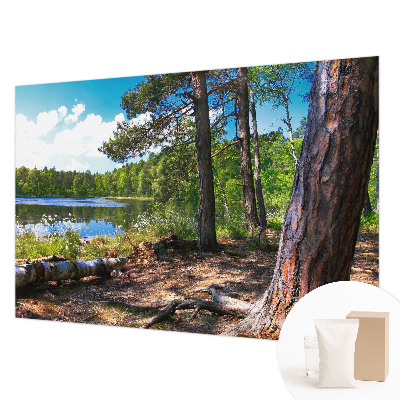 Bildtapete mit Waldlandschaft