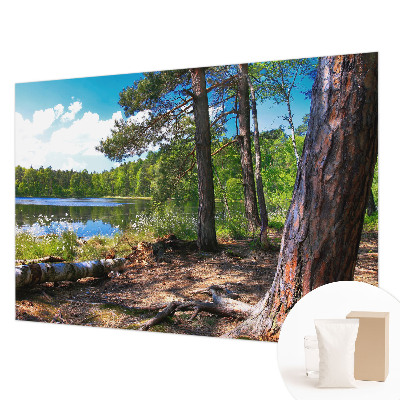 Bildtapete mit Waldlandschaft