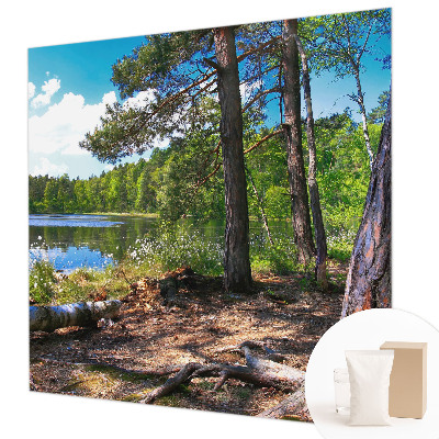 Bildtapete mit Waldlandschaft