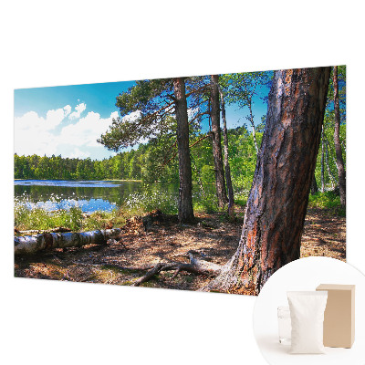 Bildtapete mit Waldlandschaft