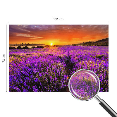 Vlies-Fototapete fürs Wohnzimmer mit Motiv eines Lavendel-Sonnenuntergangs