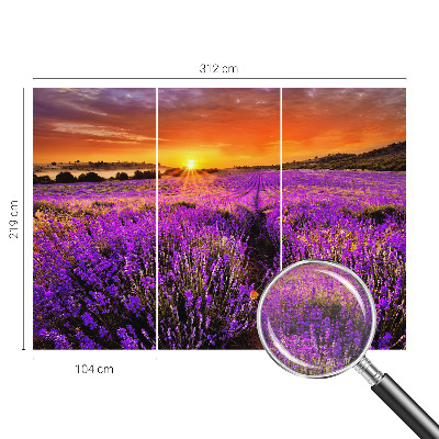 Vlies-Fototapete fürs Wohnzimmer Lavendel-Sonnenuntergang