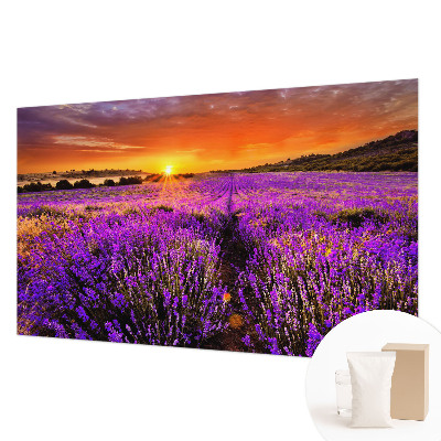 Vlies-Fototapete fürs Wohnzimmer mit Motiv eines Lavendel-Sonnenuntergangs