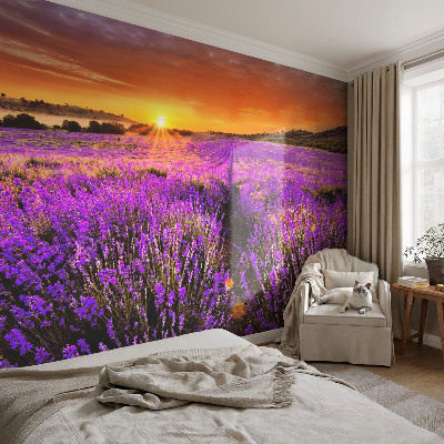 Vlies-Fototapete fürs Wohnzimmer mit Motiv eines Lavendel-Sonnenuntergangs
