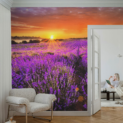 Vlies-Fototapete fürs Wohnzimmer mit Motiv eines Lavendel-Sonnenuntergangs