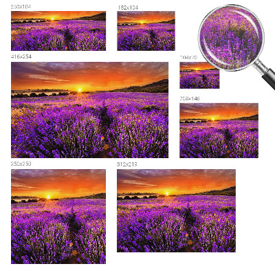 Vlies-Fototapete fürs Wohnzimmer mit Motiv eines Lavendel-Sonnenuntergangs