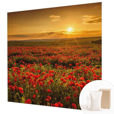 Fototapete nach Maß Mohnfeld