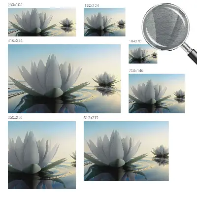 Vlies-Fototapete mit Motiv Seerosen