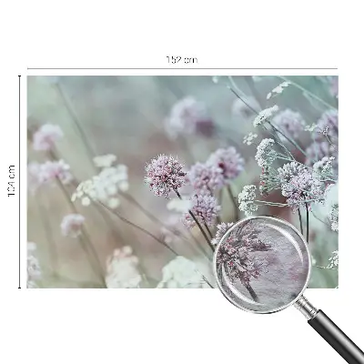 Fototapete fürs Kinderzimmer mit Motiv Wildblumen