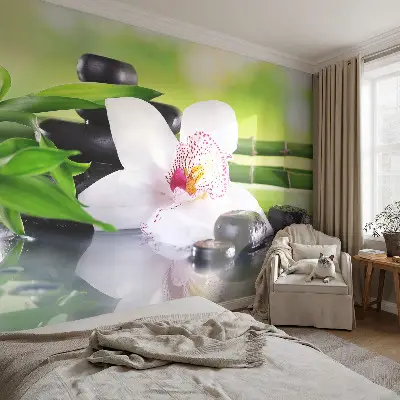 Fototapete fürs Schlafzimmer mit einem beruhigenden Naturmotiv