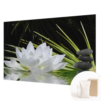 Vlies-Fototapete nach Maß mit dem Motiv „Lilienmeditation”