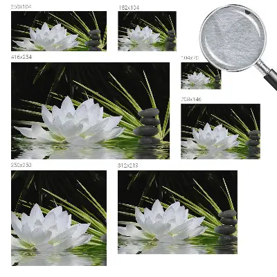 Vlies-Fototapete nach Maß mit dem Motiv „Lilienmeditation”