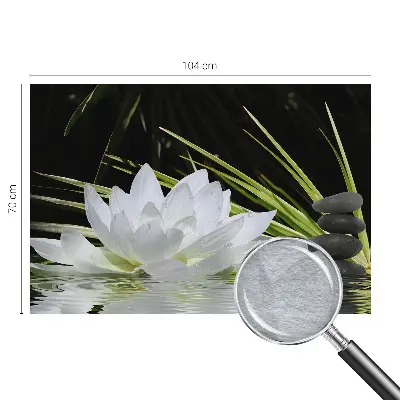 Vlies-Fototapete nach Maß mit dem Motiv „Lilienmeditation”