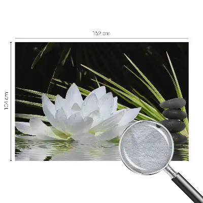 Vlies-Fototapete nach Maß mit dem Motiv „Lilienmeditation”
