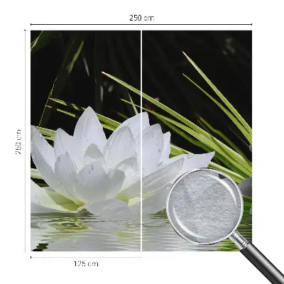 Vlies-Fototapete nach Maß mit dem Motiv „Lilienmeditation”